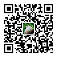 除塵設(shè)備_脫硝脫硫設(shè)備_污水處理_煙氣粉塵治理_唐山鉑銳環(huán)?？萍加邢薰?/></div>
      <!--二維碼結(jié)束-->
      <div   id=